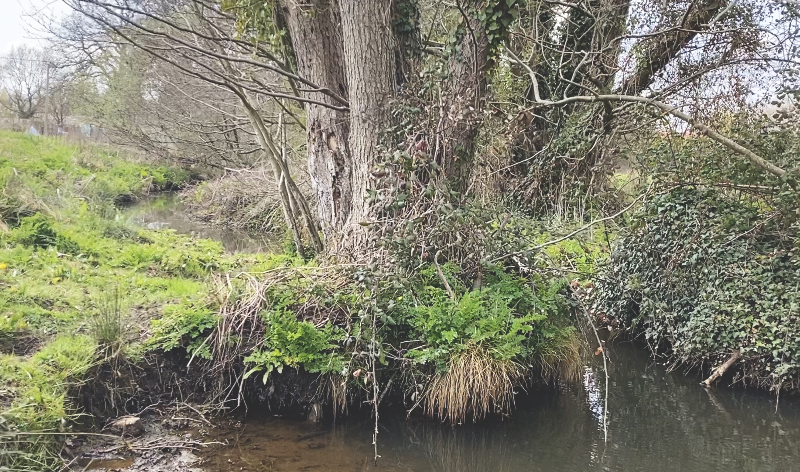 Quobleigh Stream.jpg