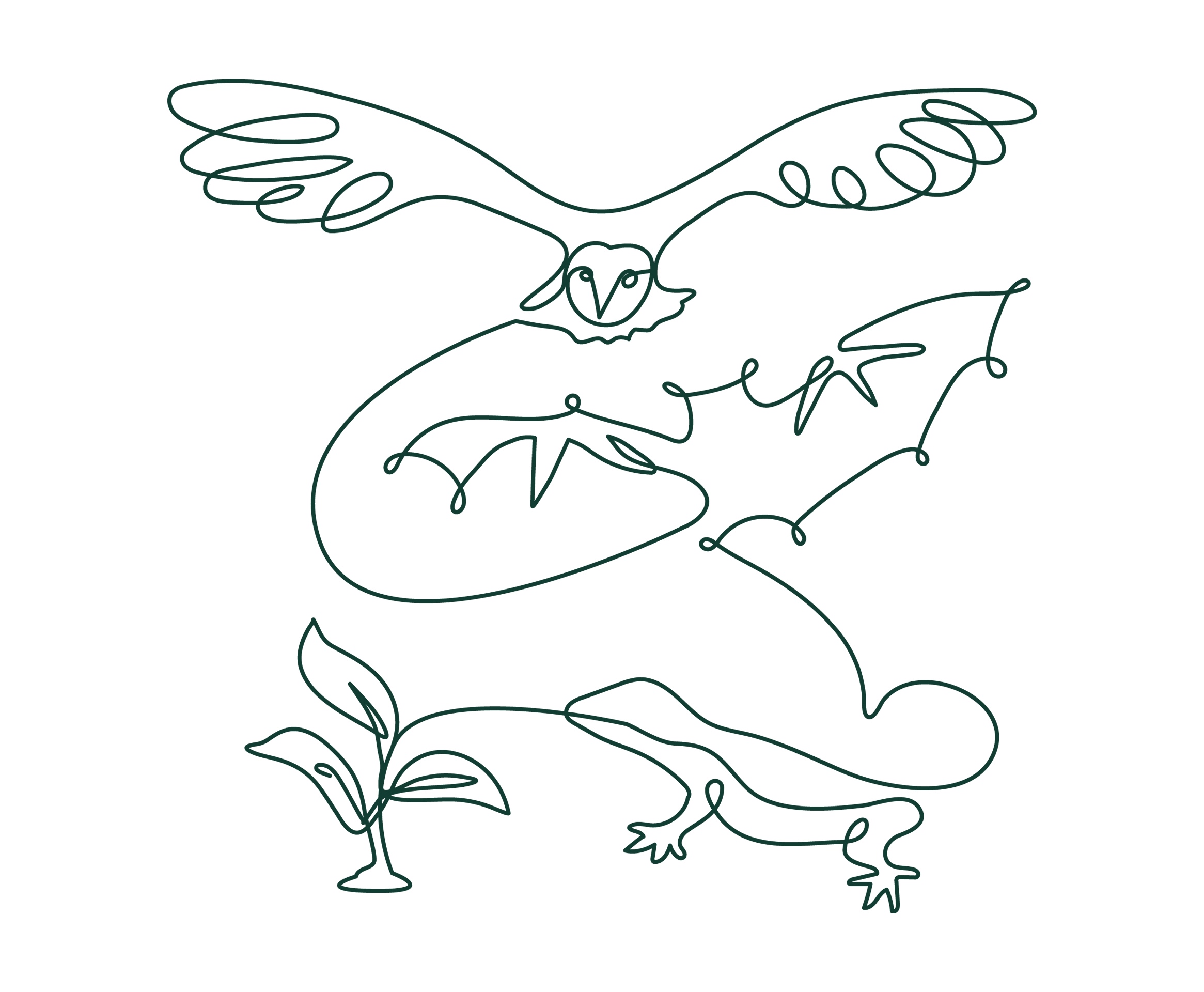 Biodiversity net gain line artwork