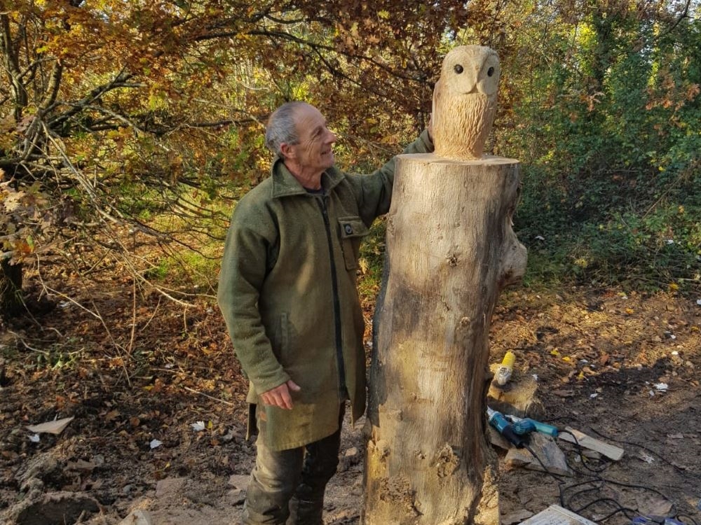 Wildlife Carvings Begin to Appear On Site