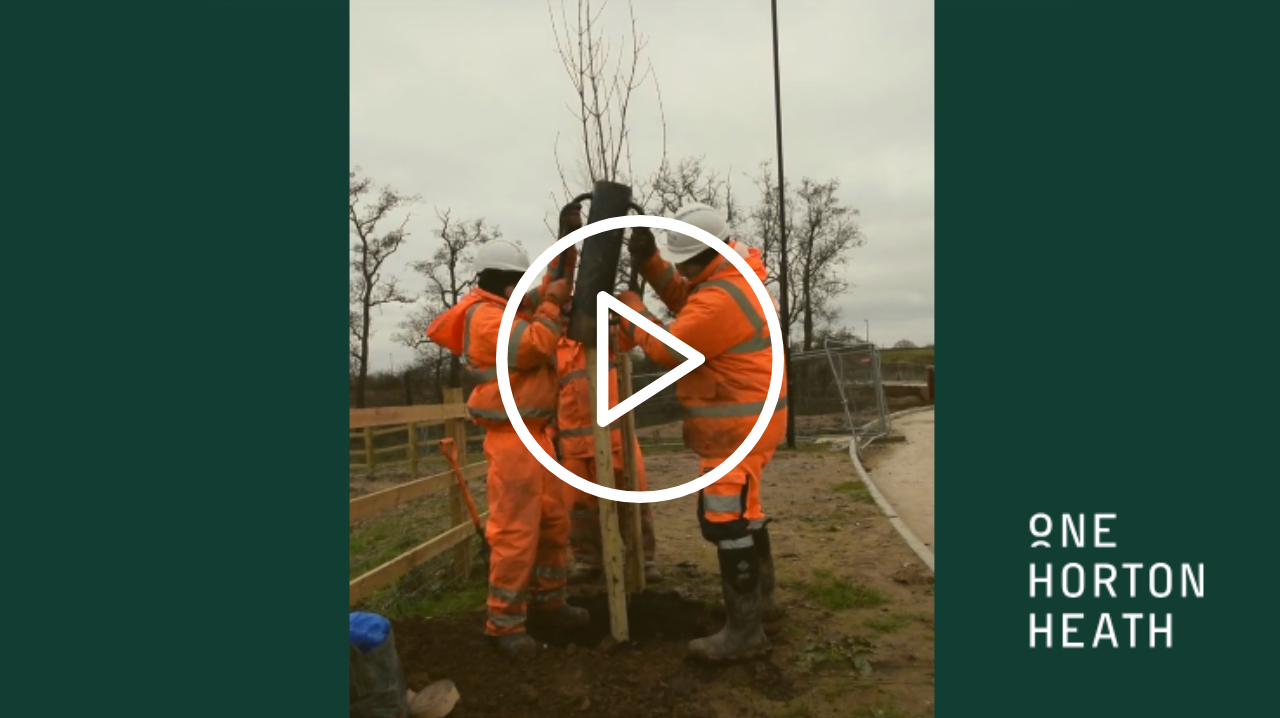 Play - OHH Tree Planting - Dec 2024
