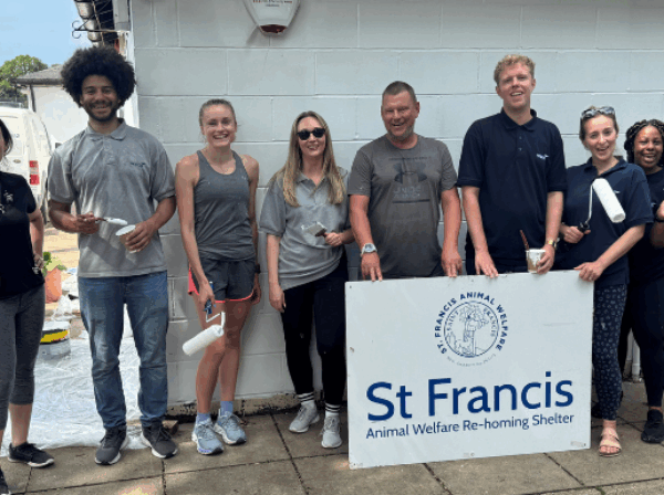 A fresh lick of paint at St Francis Animal Welfare Centre (and kittens!)