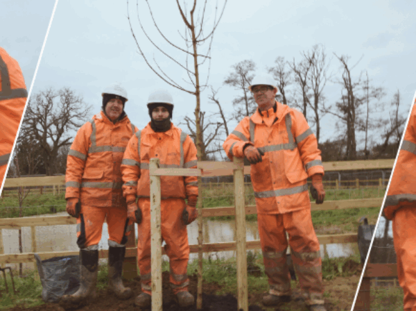 Collage of men planting the trees wearing orange high-vis