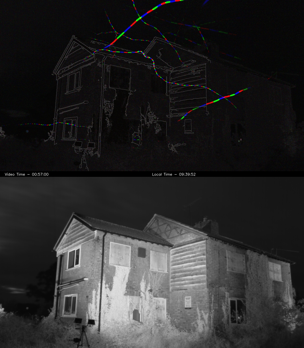 Black and white image from a bat survey using infrared technonology