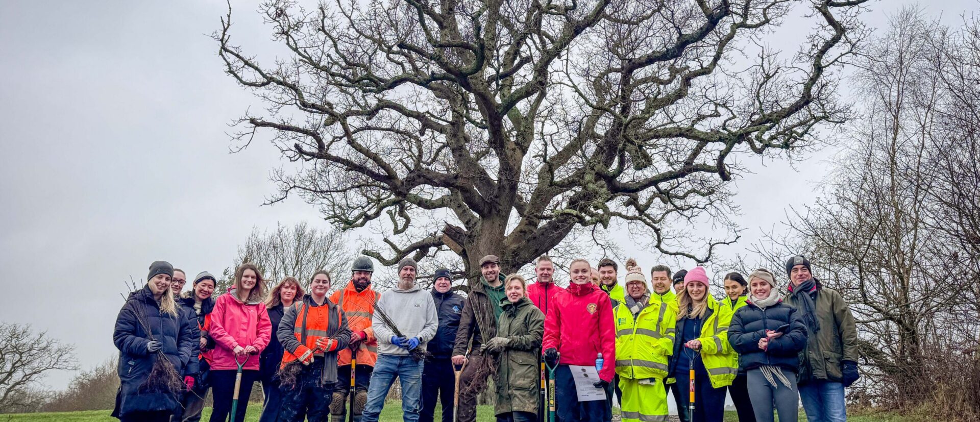 A group of volunteers with colourful waterproof clothing, tree whips and shovels and a large tree behind