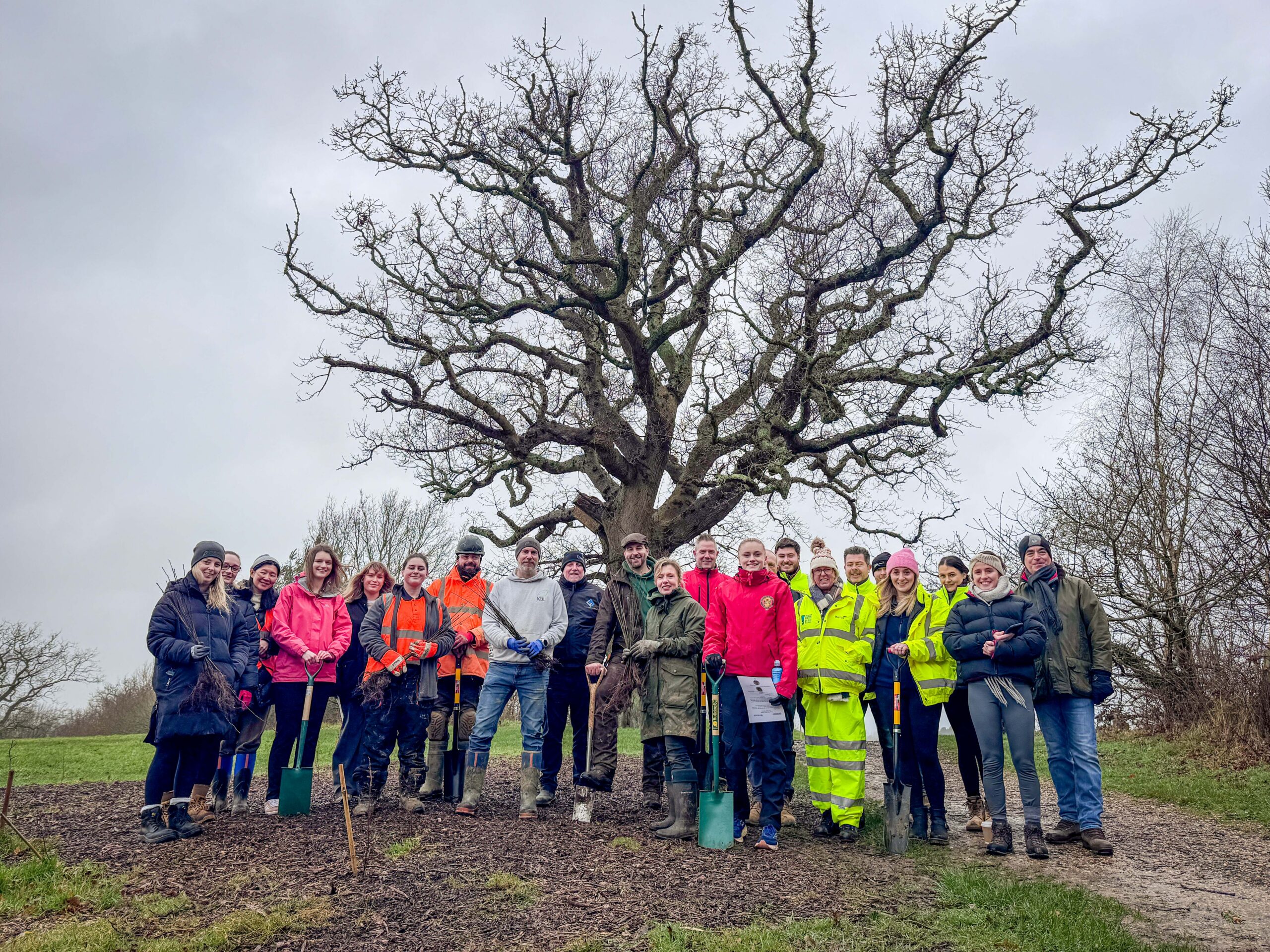 Hageby Latest News and Community Updates Community volunteers plant 400 native trees at Knowle Park - One Horton