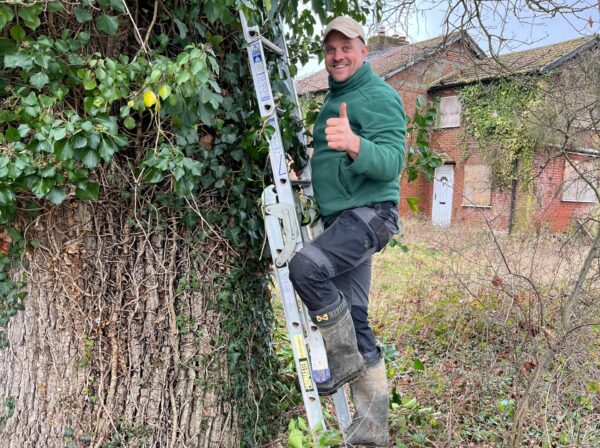 man on a ladder, leaning against a tree, installing a colourful bird