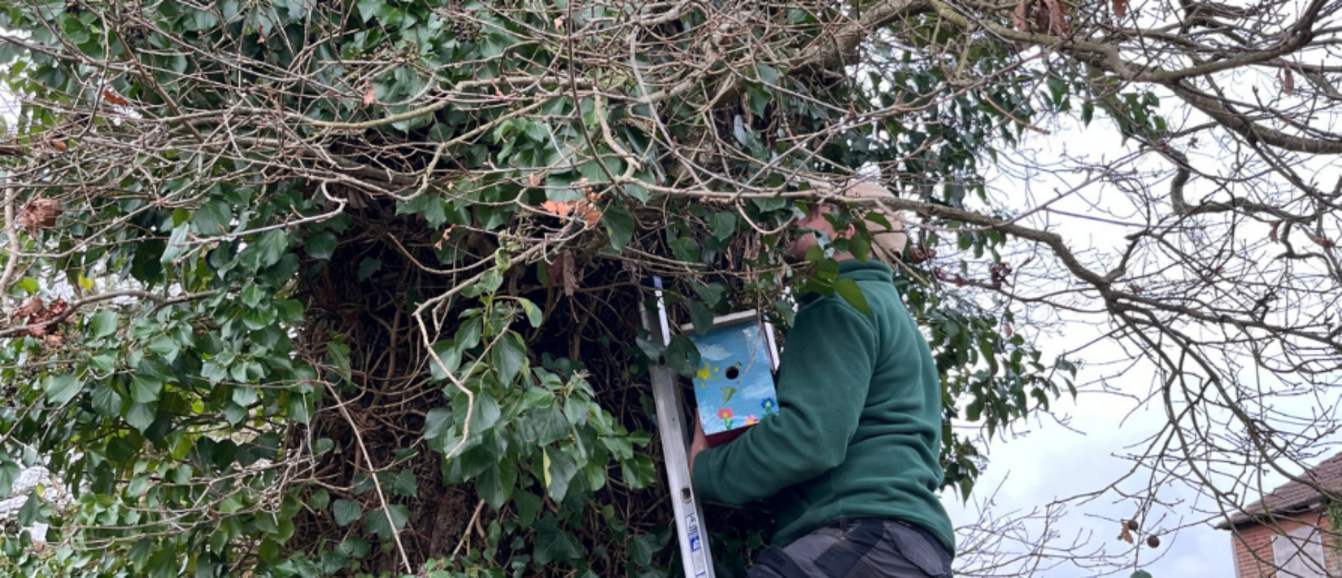 Guides’ bird box project comes full circle at One Horton Heath