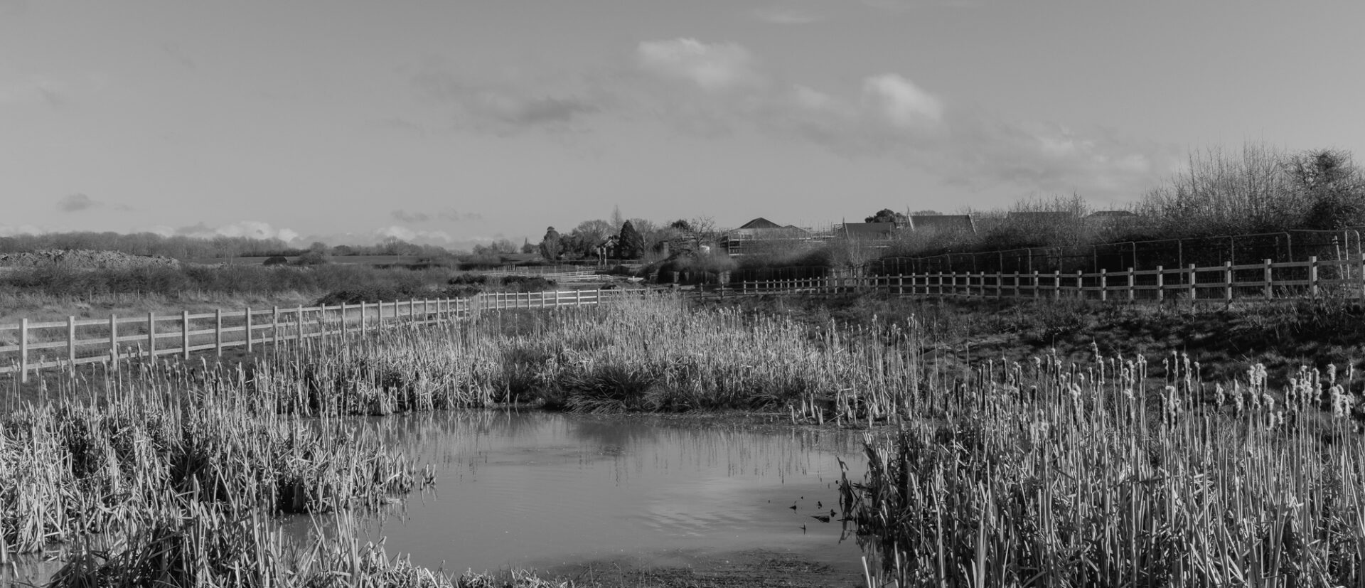 Sustainable Urban Drainage Pond (also known as a SUD) with wooden fencing - in black and white