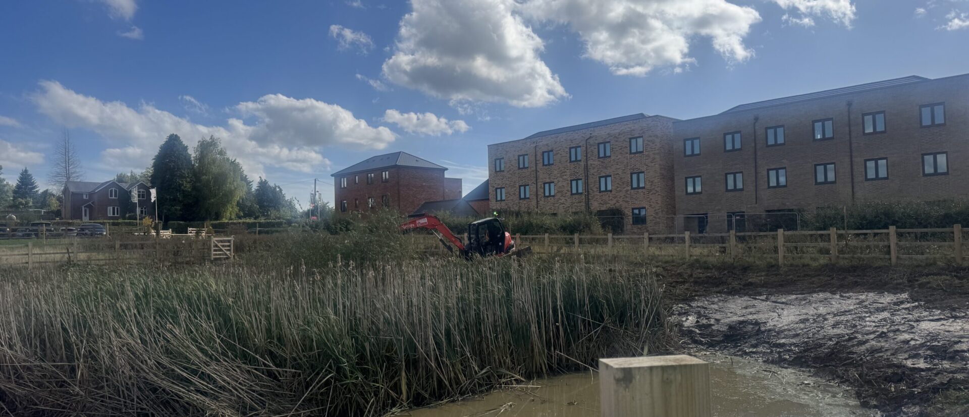 SUDs Pond - clearing of overgrown foliage